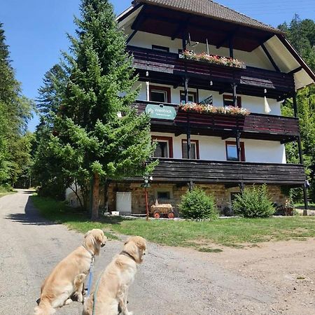 Waldblick Ferienwohnungen Bonndorf im Schwarzwald Zewnętrze zdjęcie