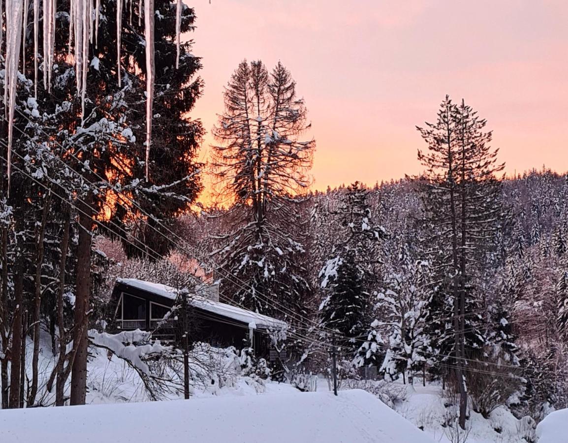 Waldblick Ferienwohnungen Bonndorf im Schwarzwald Zewnętrze zdjęcie