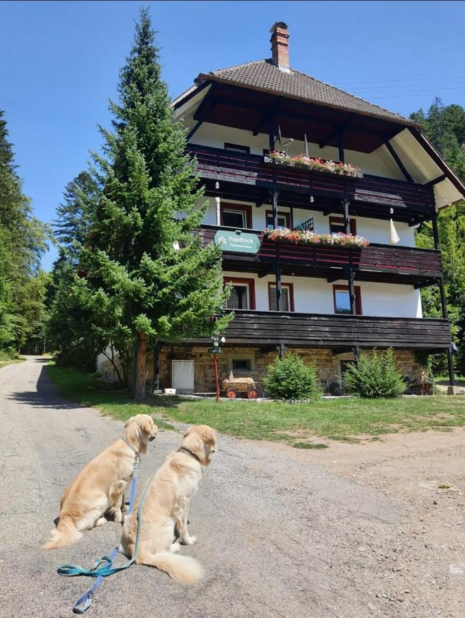 Waldblick Ferienwohnungen Bonndorf im Schwarzwald Zewnętrze zdjęcie